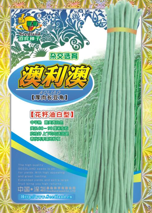 澳利澳（花籽油白型）厚肉長(zhǎng)豆角 2-07.jpg